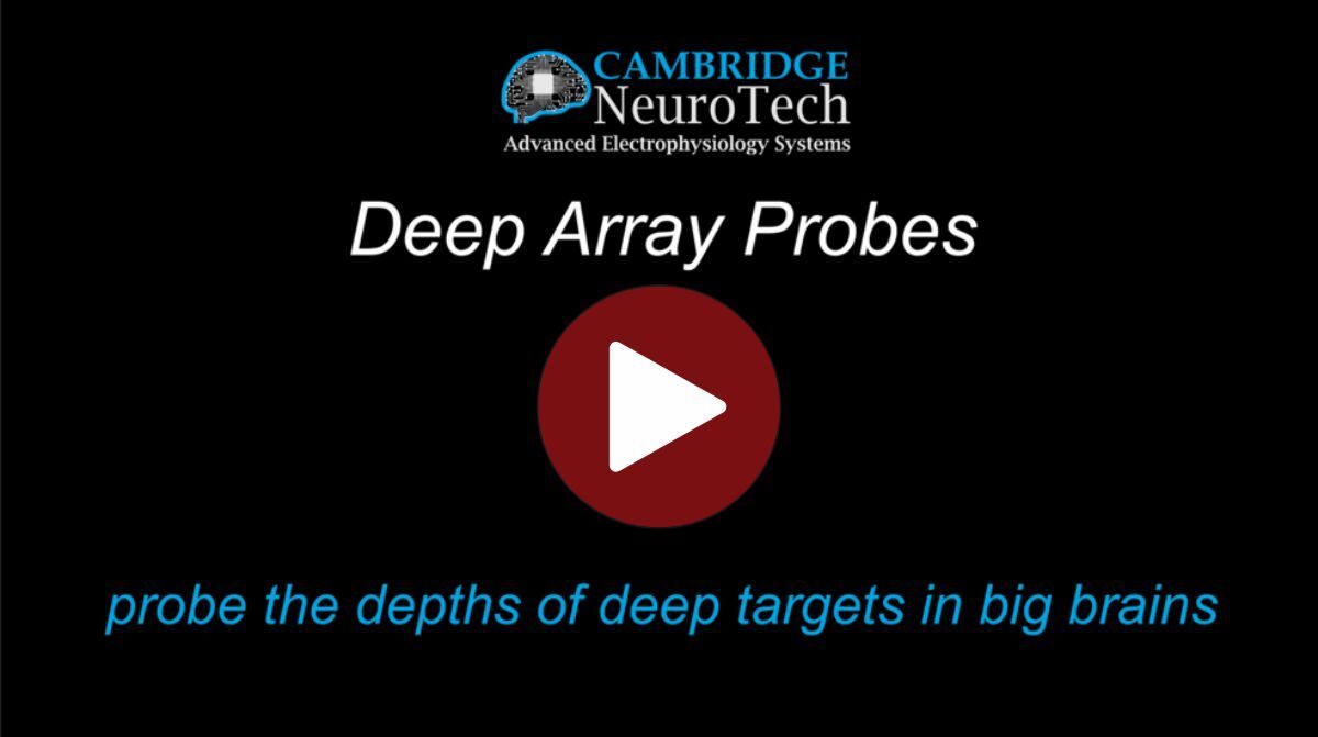 Deep Array Probes | Cambridge NeuroTech